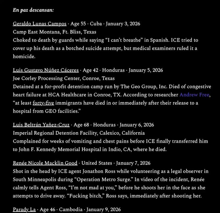 At least 32 people have died at the hands of ICE and Border Patrol so far in 2026. These are their names.