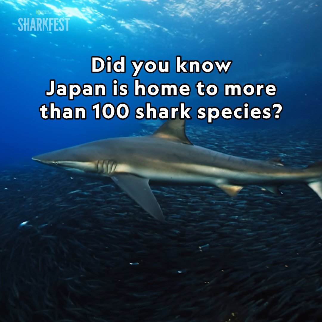 And this isnโt even the whole list! ๐คฏ Which shark is your favorite? #AttackOfTheSamuraiSharks and other #Sharkfest titles are streaming now on Disney+ and Hulu.