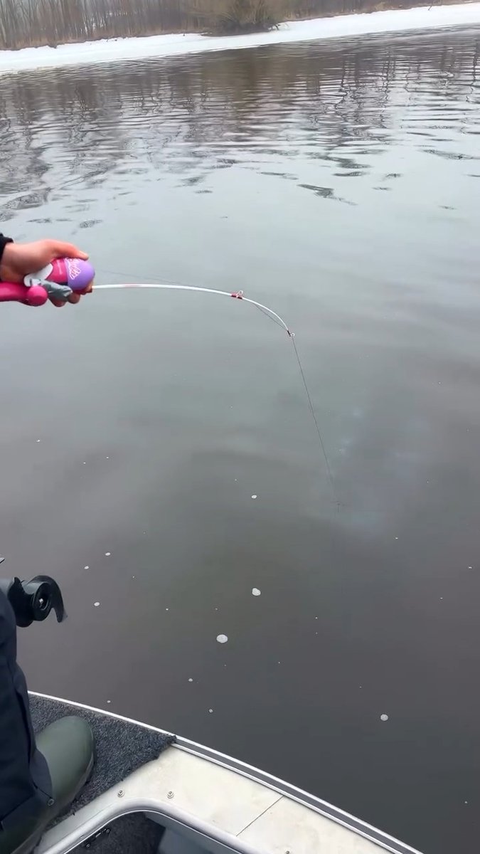 Bro caught a giant sturgeon using a barbie rod