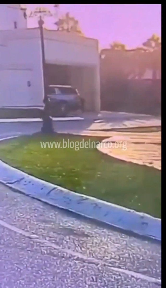 💔🐾 Murió Rocky, el perrito que fue arrastrado y atropellado por su dueña Liliana "N" en Saltillo, Coahuila. La dueña ya fue detenida. Descansa en paz peludito 🕊