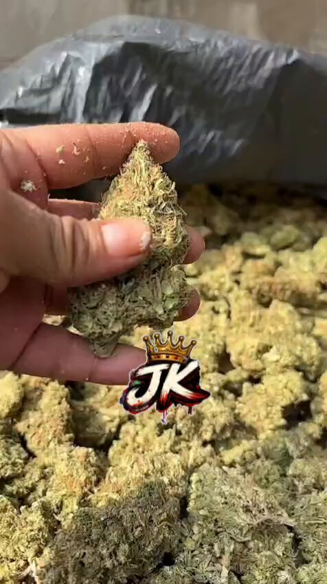 Chavalones imagínense si asi esta nuestra regular, como vendrá la odp o la GH ni les cuento. La mera maciza del caldo apasitos ya se la sabritas pura cremita, quieres saber mas dejo el link en los comentarios . Las oz aprox te quedan en $38 de mayoreo asi que paque les platico más