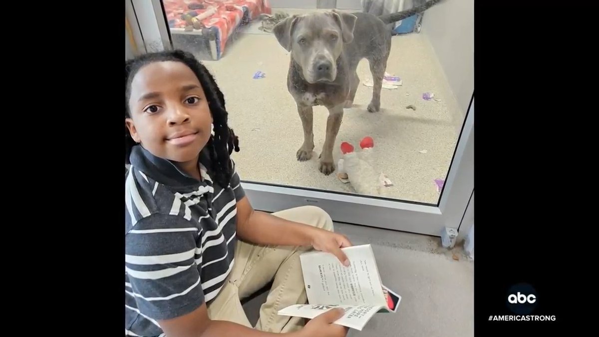 An 11-year-old boy in Jacksonville, Florida, took it upon himself to go to his local animal shelter and read to every dog that's still waiting for a forever home. Linsey Davis shares how the boy's simple act of kindness has helped both him and the shelter.