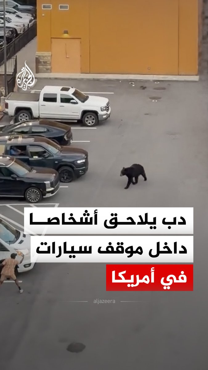 دب يلاحق أشخاصا داخل موقف سيارات في مدينة غاتلينبرغ بولاية تينيسي الأمريكية #فيديو