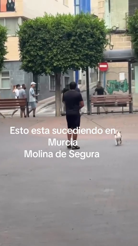 Batalla campal con palos en el centro de Molina de Segura, Murcia.