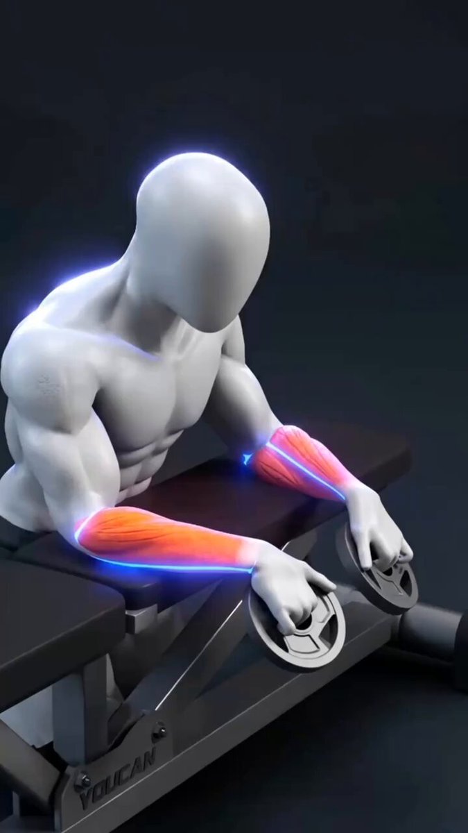 The Forearm Workout Most People Never Do