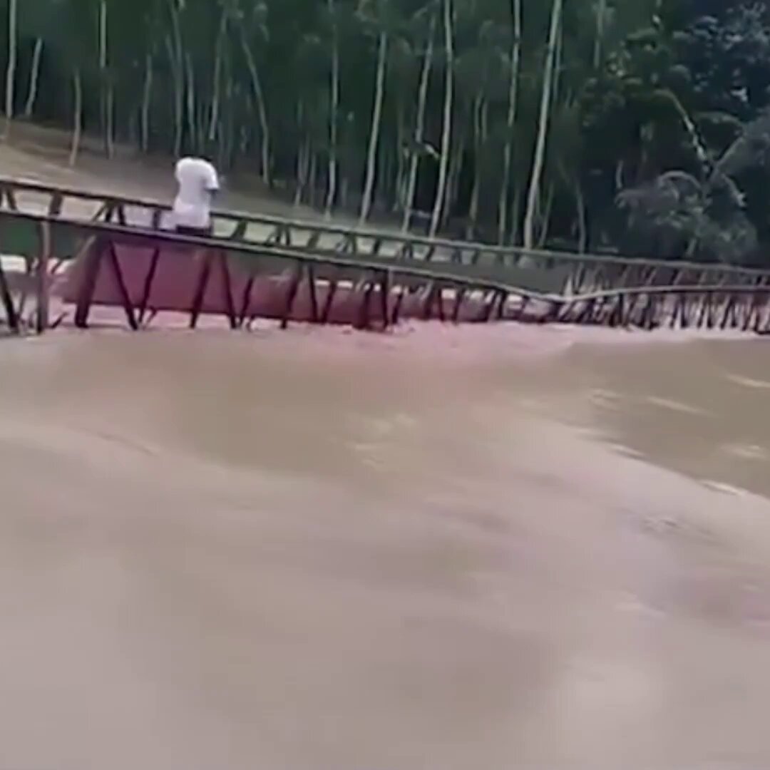 #بنغلاديش 🇧🇩 🌊 انهار جسر معدني بسبب الفيضانات في بنغلاديش، ما أدى إلى سقوط أربعة أشخاص، بينهم طفل، في النهر، قبل أن يتمكنوا جميعًا من النجاة والوصول إلى الضفة سباحةً. 🇧🇩 #Bangladesh