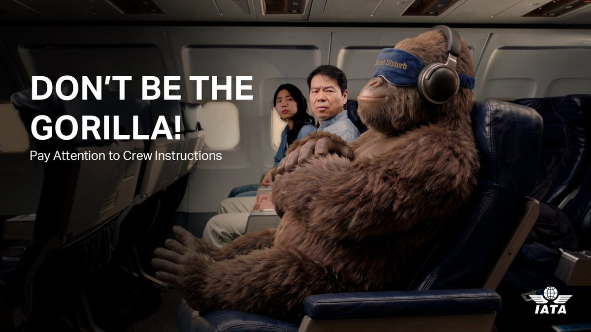 🦍 Meet the Gorilla. Remarkable for its size and its extraordinary ability to ignore everything. In an aircraft emergency, that's the last behavior you want to copy. When the crew speaks, listen. Every second counts. ➡️ The FAA ✈️ EASA IFALPA AFA-CWA