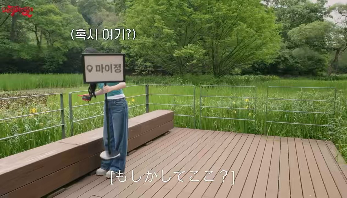 カリナさん大嫌いな鳥に驚かされてから 小石に躓いたり、看板を下げちゃったり ドタバタカリナさんおもろすぎた