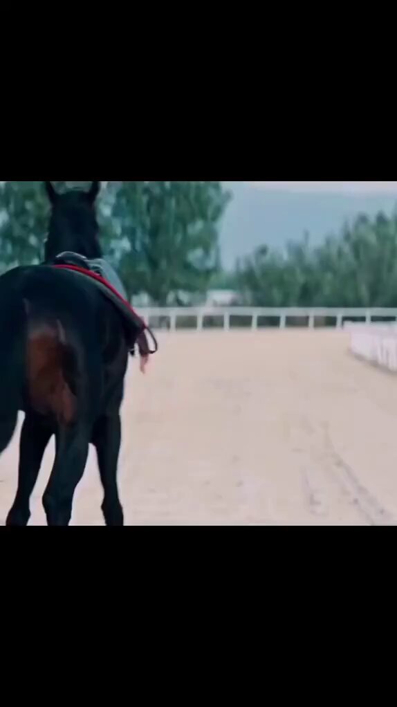 Şimdi niye koşmuyorsun lan