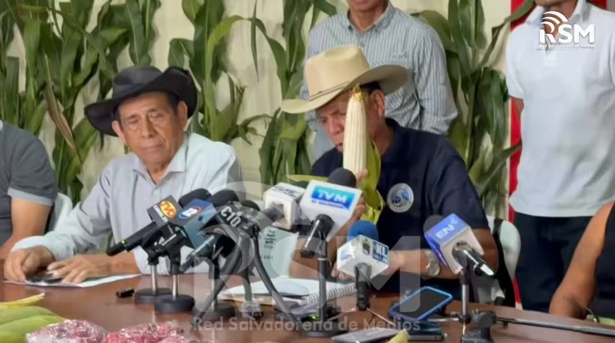 Productores agropecuarios aseguraron que la producción nacional de maíz, frijol y hortalizas está garantizada para este año. Proyectan una cosecha de 12 millones de quintales de maíz, 900 mil de frijol y una producción de hortalizas que cubrirá cerca del 70 % del consumo nacional.