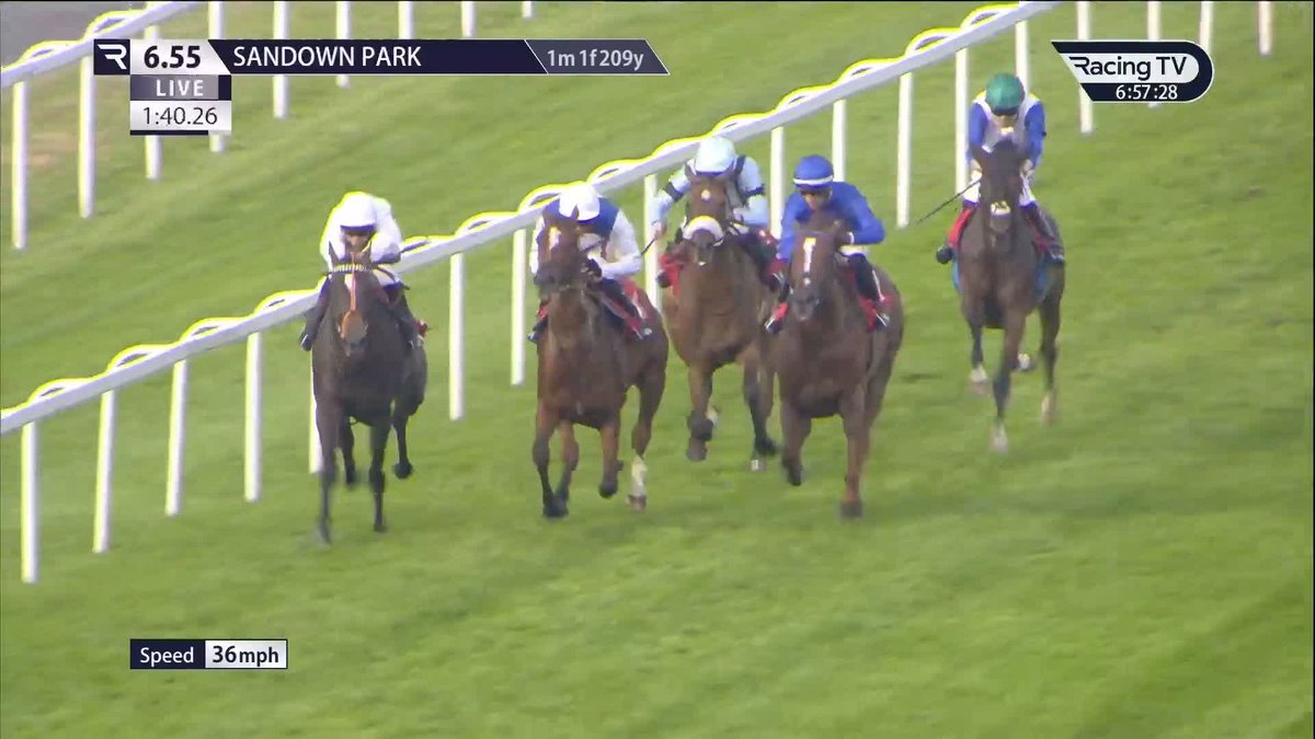 ✅ A winning handicap debut for Cyrano De Bergerac