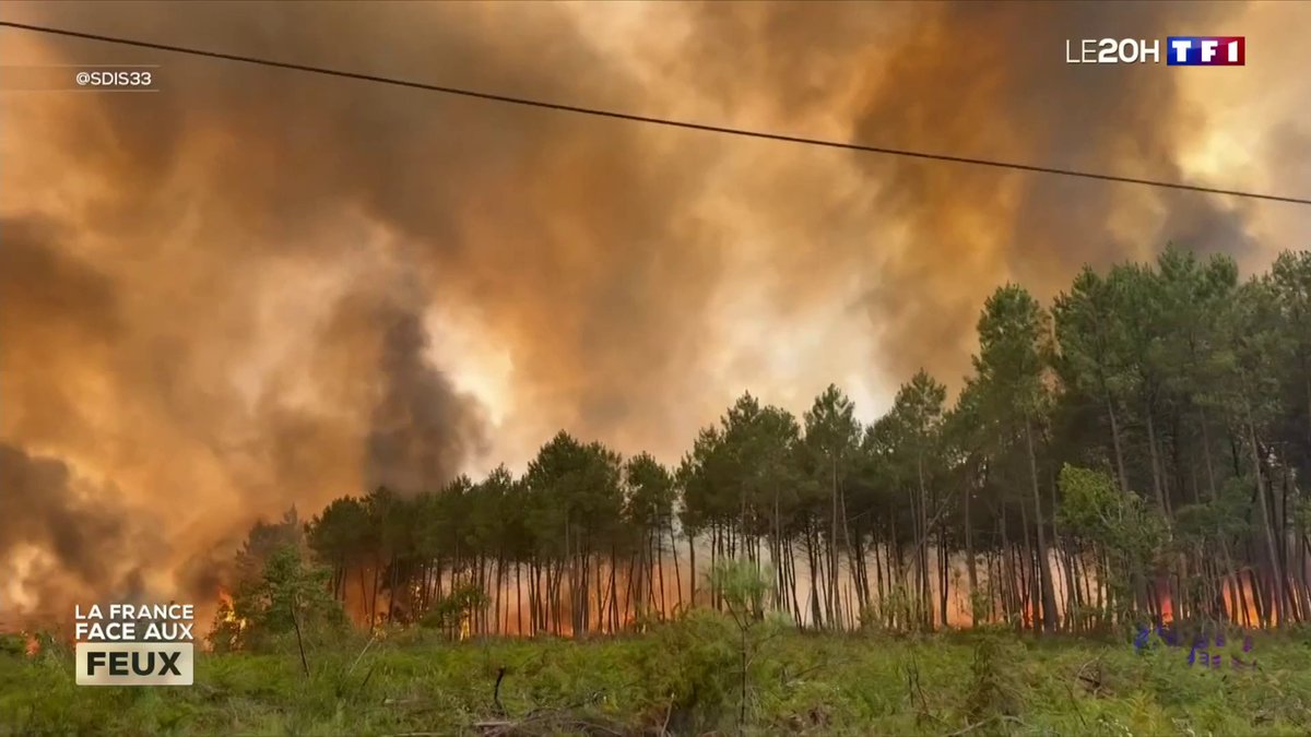 🔥 Incendies géants : pourquoi inquiètent-ils ? 📺 La France face aux feux dans #LE20H de TF1 avec Audrey Crespo-Mara