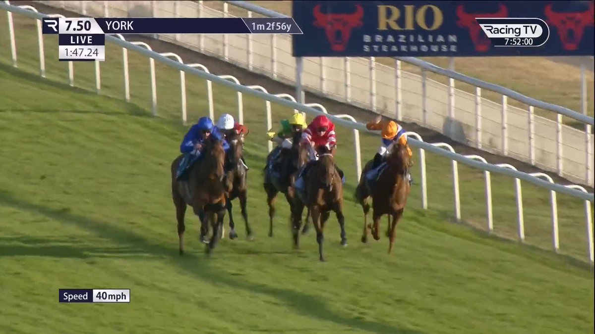 🔵 Listed success for Diamond Rain York Racecourse