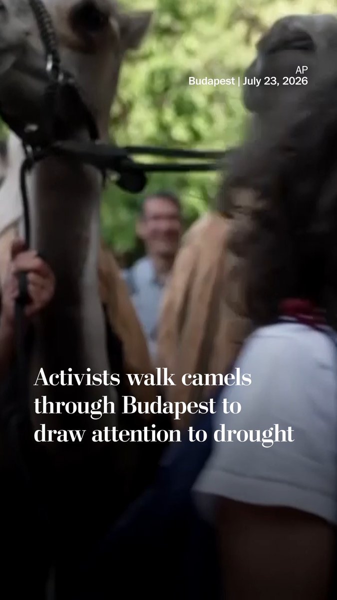 Climate activists marched through Budapest with two camels on July 23, urging the government to protect wetlands and adopt policies that would prepare Hungary for a warmer climate and water shortages.