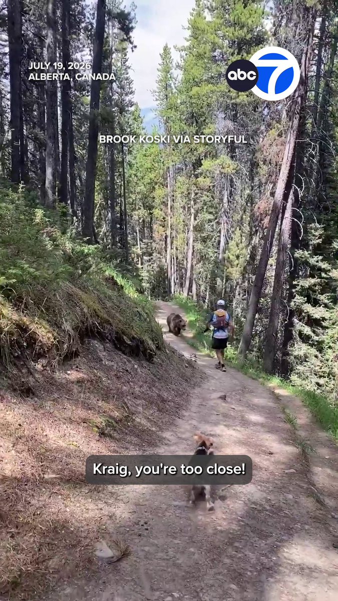 A couple had a frighteningly close encounter with a bear while walking a trail with their dog just outside of Banff, Alberta, Canada. Video shot by a Washington woman shows the bear slowly following her husband as he walks away backwards. The couple were eventually able to scare the bear back into the woods, but the woman said the encounter left her feeling “terrified.”