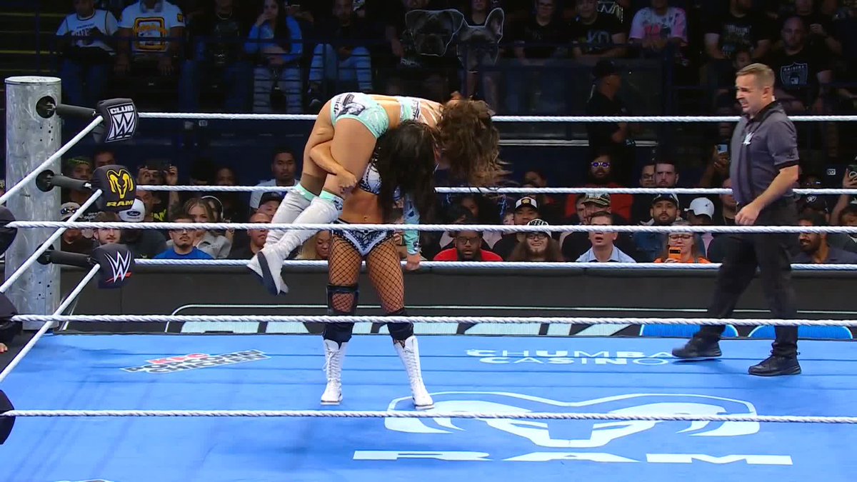 🫡 🫡 🫡 CHELSEA GREEN is headed to SummerSlam!
