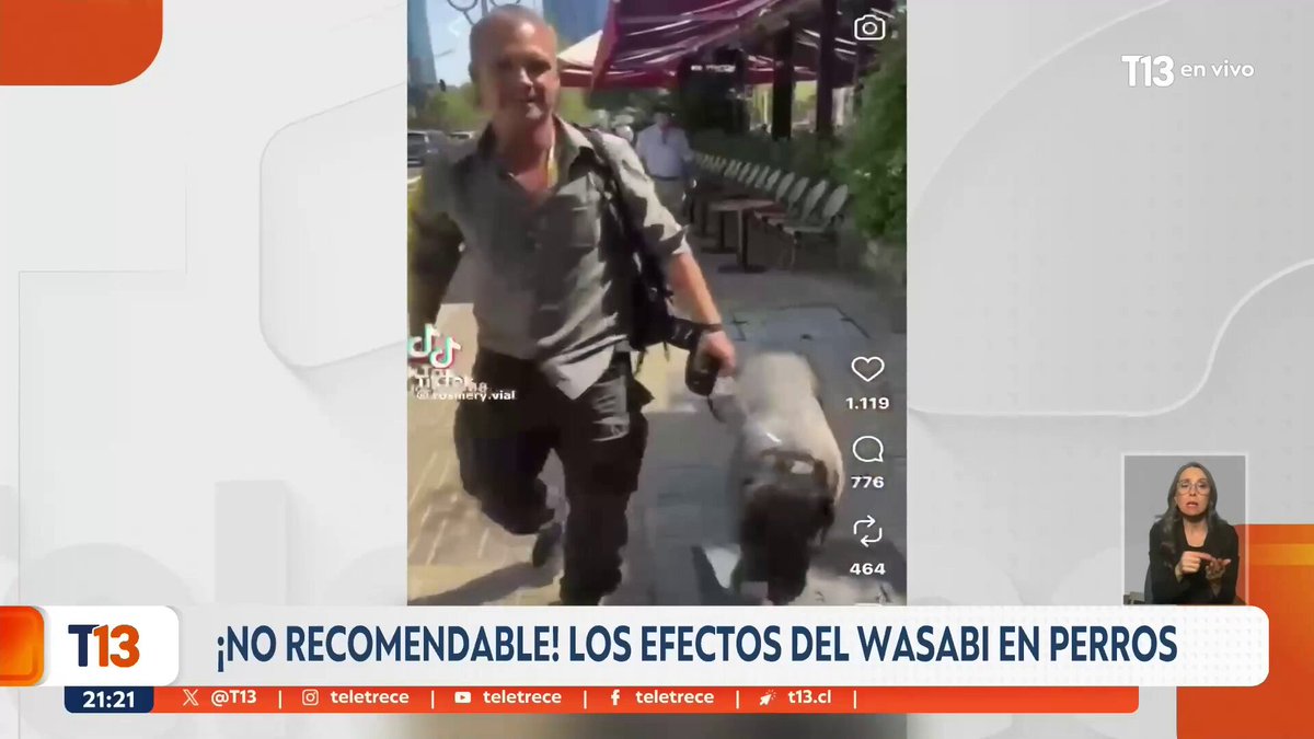 ¡No recomendable! Los efectos del wasabi en perros EN VIVO 📺#T13Central »