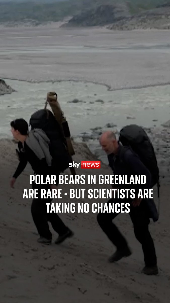 'We always carry rifles' A Sky News team joined scientists on Greenland's ice sheet to investigate the wider climate impacts of the region's melting. Filming this story came with more risks than just ice… the risk of hungry polar bears. | Tom Clarke ▶️