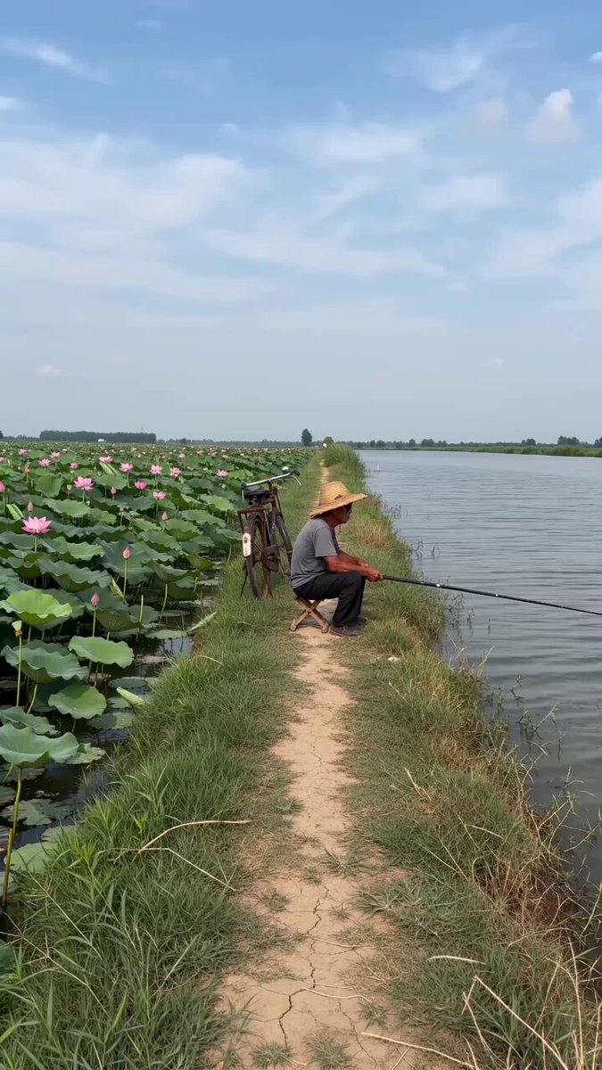 Fishing is secretly the most popular pastime! All anglers know the unique happiness it brings. Look out for fish darting and jumping in the lotus pond. #FishingVibes #LotusPond