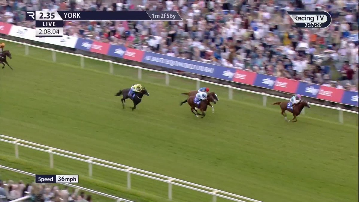 💪 Dante hero Item finds plenty for pressure to land the G2 Sky Bet York Stakes
