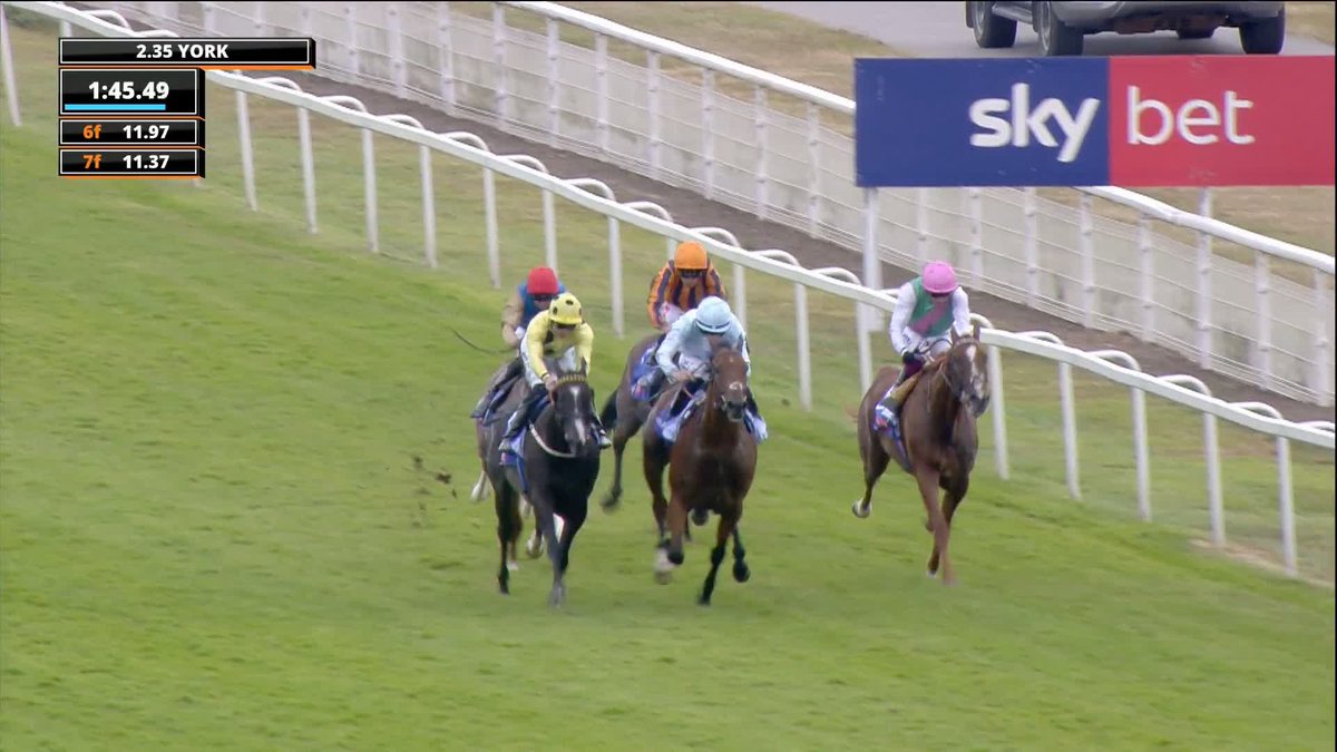 The son of Frankel is back in business! 😍 🔥🥇 ITEM bounces back from his Derby flop on disgusting ground to win the Group 2 Yorks Stakes in powerful fashion for Andrew Balding. The sky’s the limits for this exciting 3YO! 👏