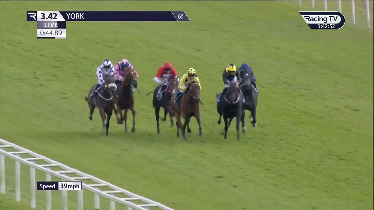 ✅ Winning debut for £75,000 buy Rogue Jewel (Mehmas)