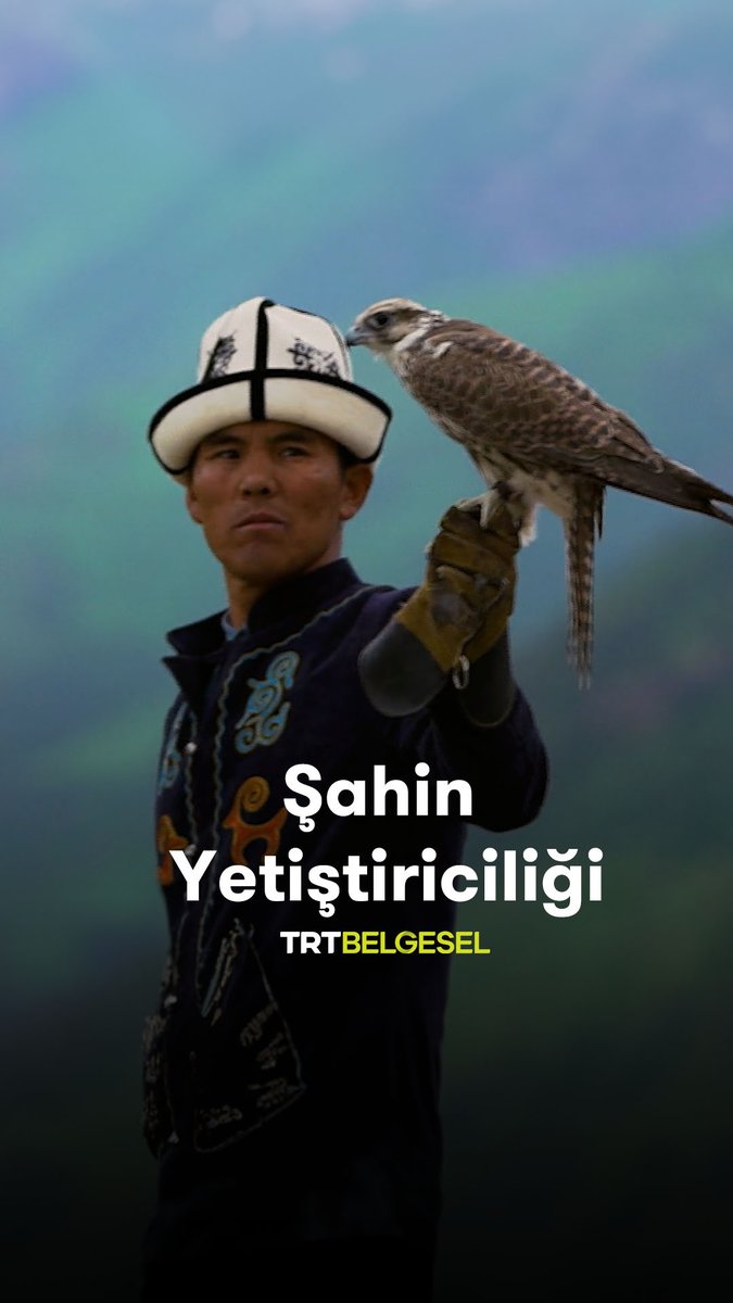Altı yıldır yetiştirdiği şahinini doğaya salan Mirbek yavru şahin avına çıkıyor. “Bir Dünya Yaşam”, TRT Belgesel’de.