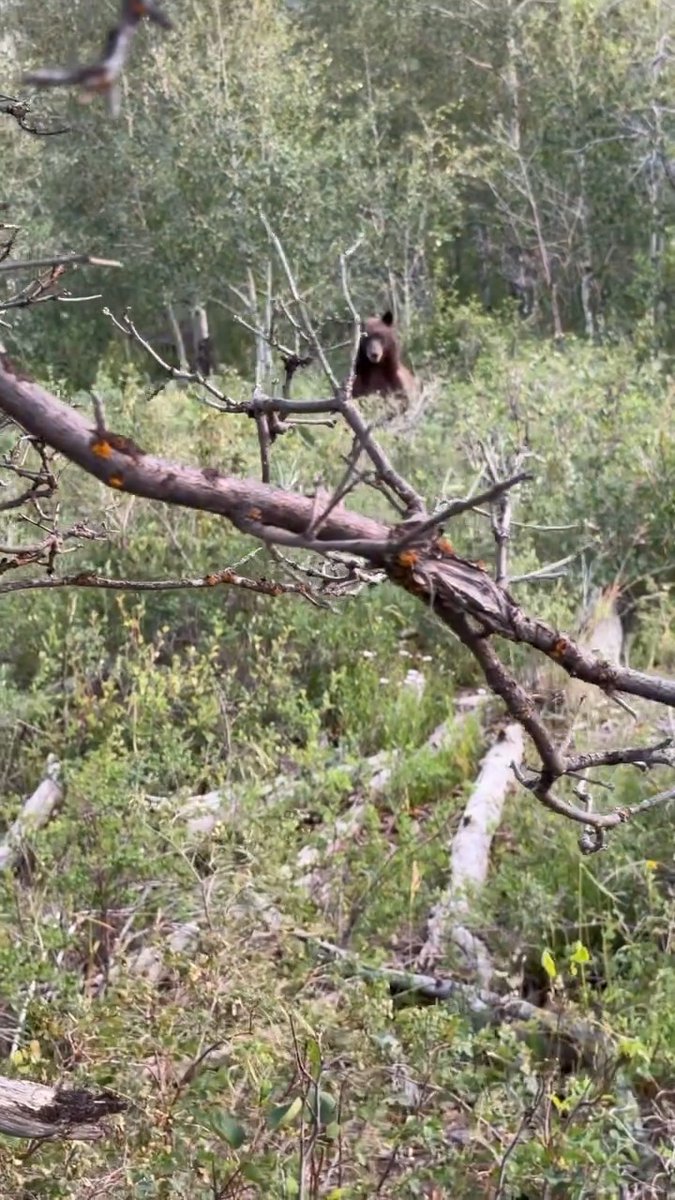 This is the kind of adrenaline you don't go looking for. Video: Max Brooke