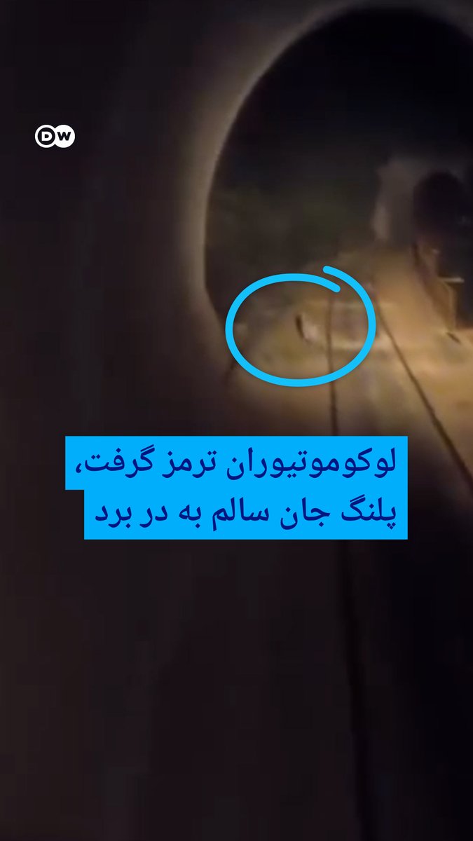 لوکوموتیوران ترمز گرفت، پلنگ جان سالم به در برد ویدیویی از حضور یک پلنگ روی ریل راهآهن در یکی از تونلهای سوادکوه مازندران منتشر شده است. لوکوموتیوران با کاهش سرعت قطار، به حیوان فرصت میدهد از مسیر خارج شود.