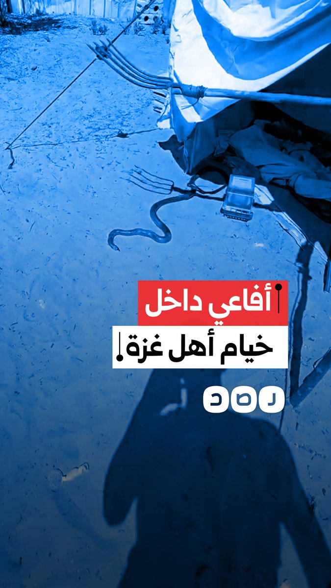 الأفاعي والزواحف تهدد حياة العائلات النازحة في قطاع غزة