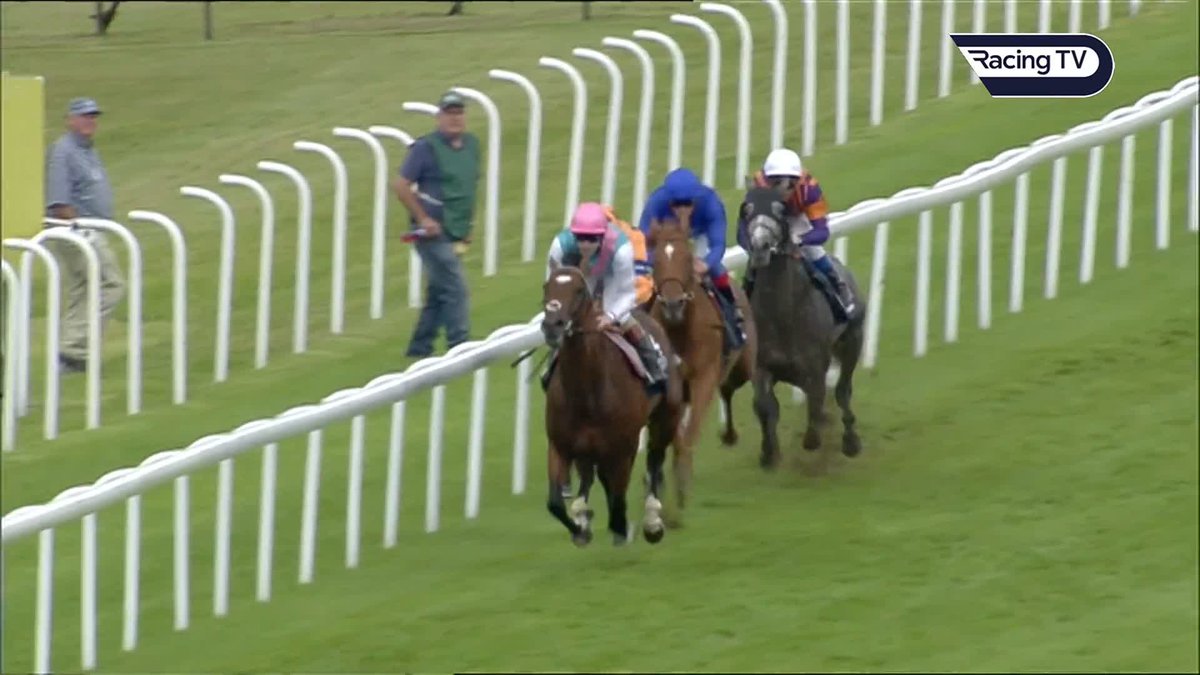 ๐ฃ๏ธ "It was unfortunate he wasn't on his day that day." Richard Hughes relives the 2011 Sussex Stakes & his thoughts on Frankel vs Canford Cliffs Tom Stanley | Oli Bell
