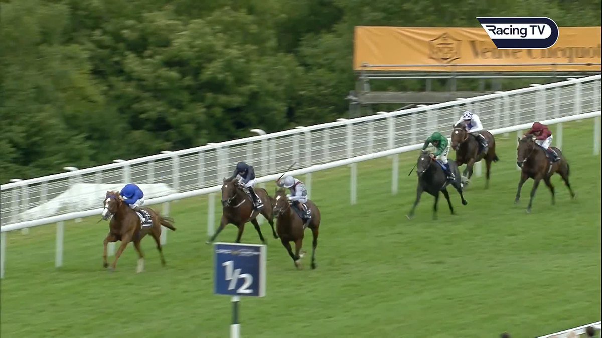 🗣️ "He has so many gears." Richard Hughes thinks Bow Echo will take plenty of stopping in this year's Sussex Stakes Tom Stanley | Oli Bell