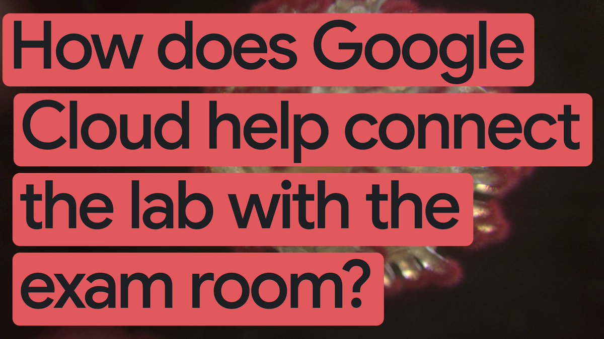 Endeavor Health developed a first-of-its-kind digital pathology software stack on Google Cloud to digitize 1.5 million slides annually. The system uses BigQuery and generative AI to improve efficiency by 40% and help patients understand reports ↓