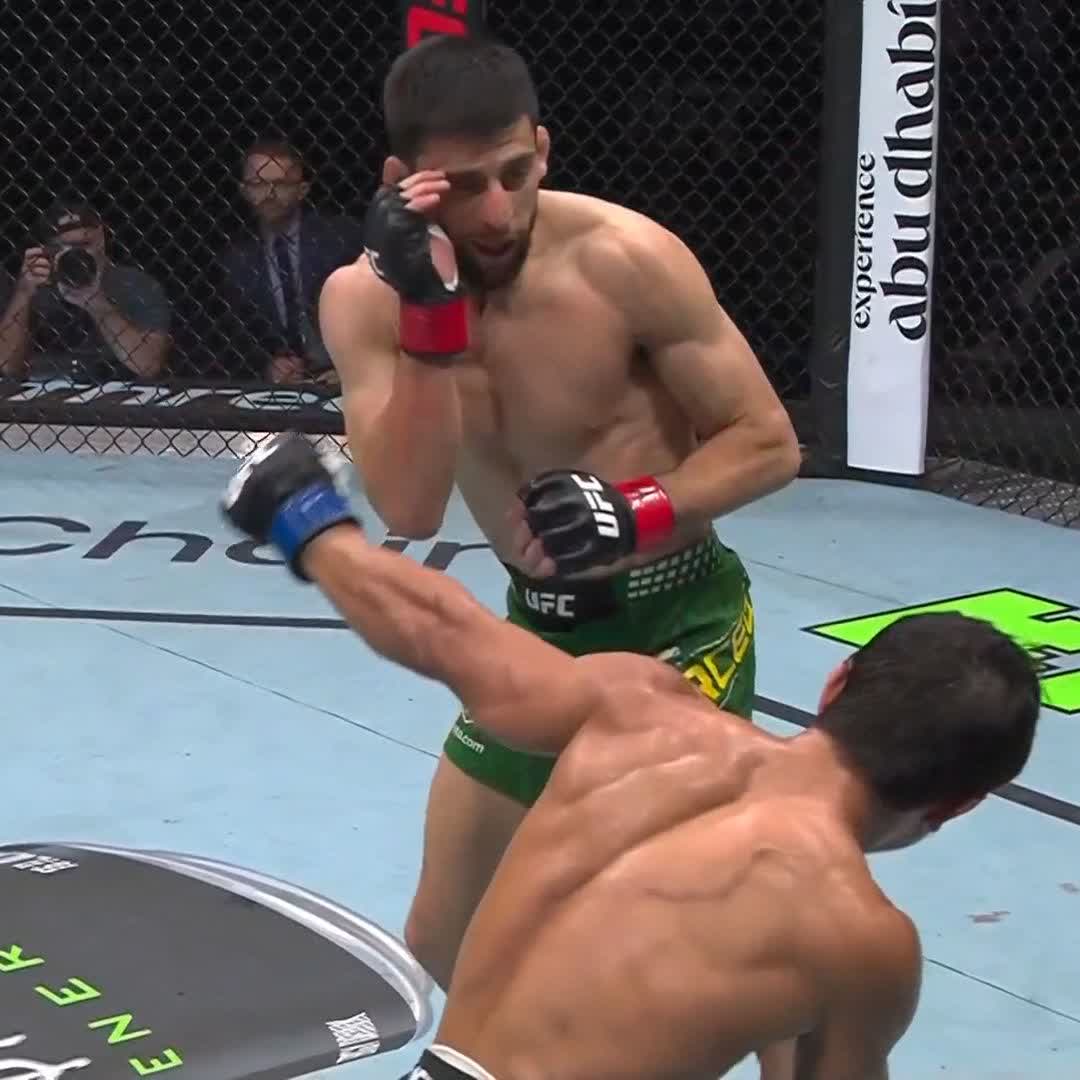 エルセグを1Rで沈めたテミロフ…！ #UFC