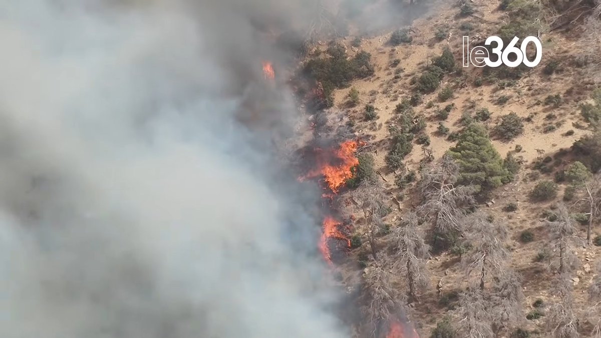 Taroudant: Canadair et équipes de secours s’activent pour maîtriser les feux de forêt