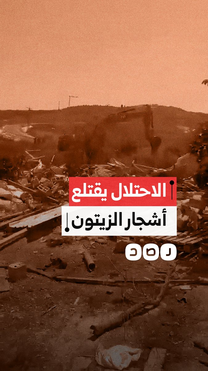 الاحتلال يقتلع مئات أشجار الزيتون المثمرة من أراضي قرية بورين جنوب نابلس