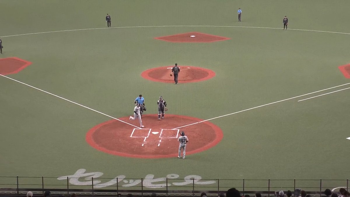 打った瞬間の特大弾💪 千葉ロッテ ソト 選手の第13号ソロホームラン🌈 👇スマホ・テレビで試合観戦！