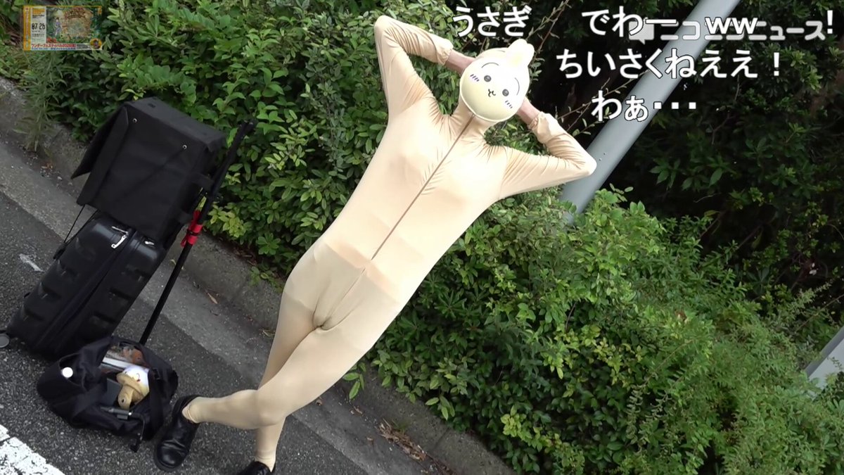【八頭身ちいかわ】うさぎのコスプレ なんでもやるサラサラさんをご紹介！ワンフェス2026夏 #WF2026Sコスプレ #ちいかわ