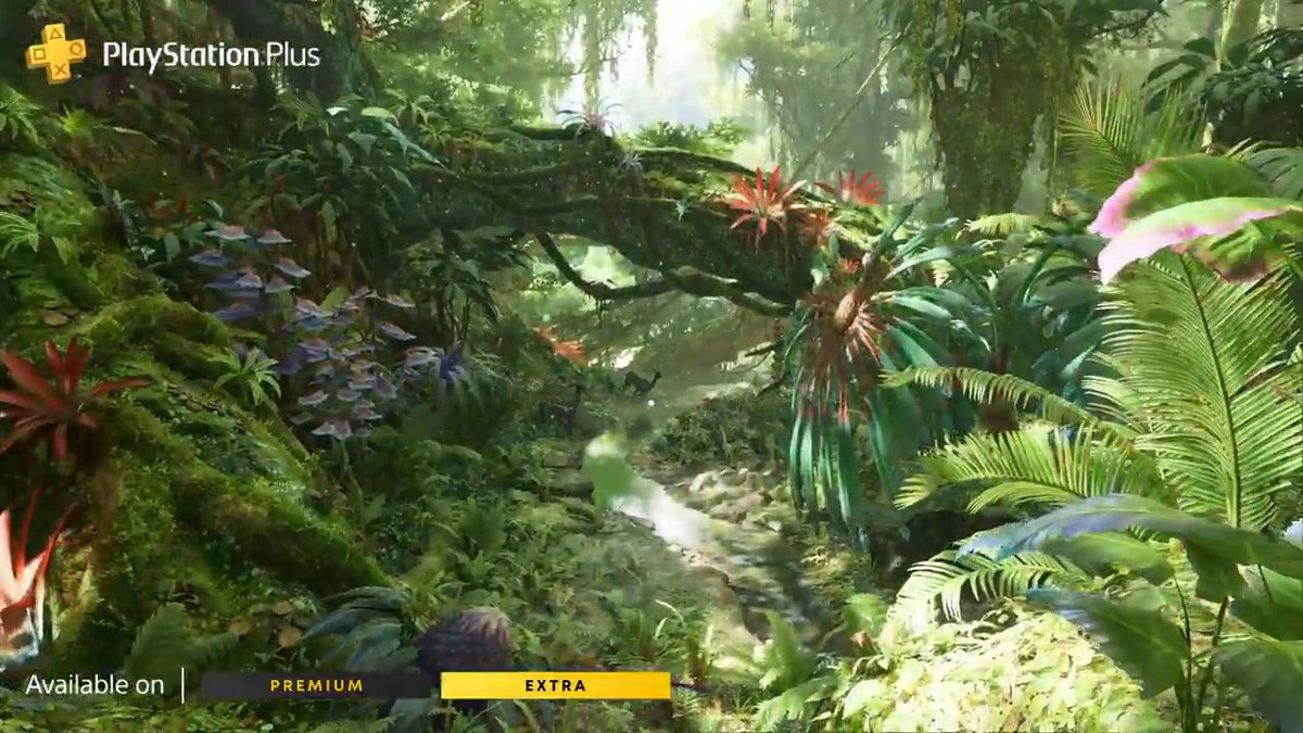 Begin your Na'vi adventure with Avatar: Frontiers of Pandora, available now in the PlayStation Plus Game Catalog: