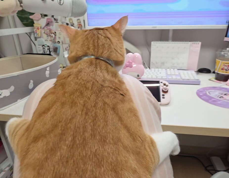 너무힘듭니다 돈도안주시고.. 궁디때리기알바 구합니다