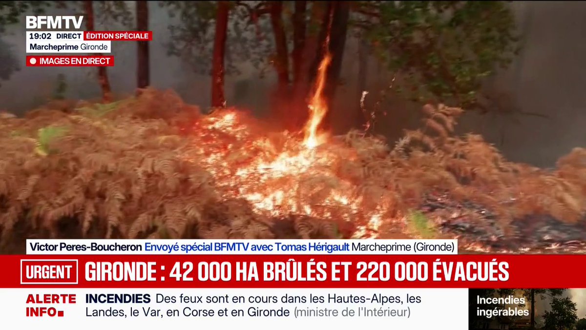 Incendie: après plusieurs jours, le feu ne se calme pas en Gironde