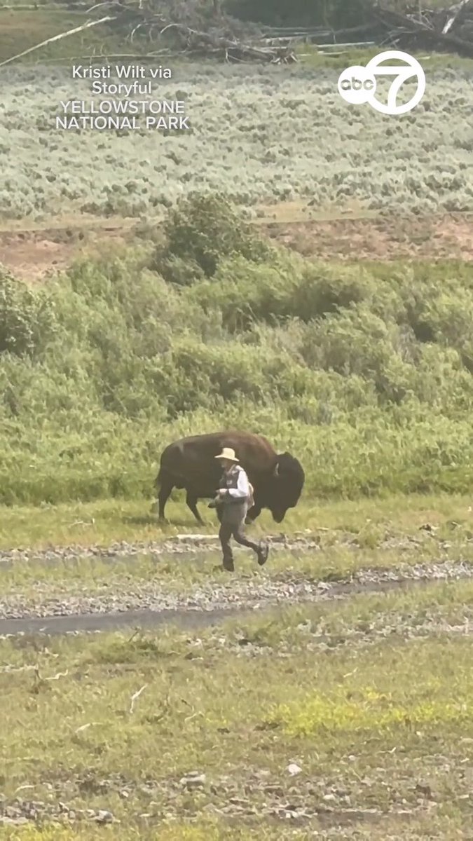 I’m reading Death in Yellowstone as we prepare for a family trip. Guy did exactly what he was supposed to!