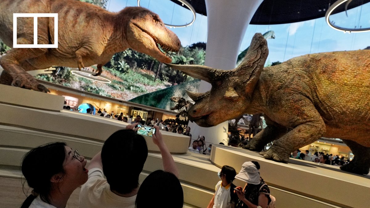 Shenzhen’s massive Natural History Museum is set to open to the public