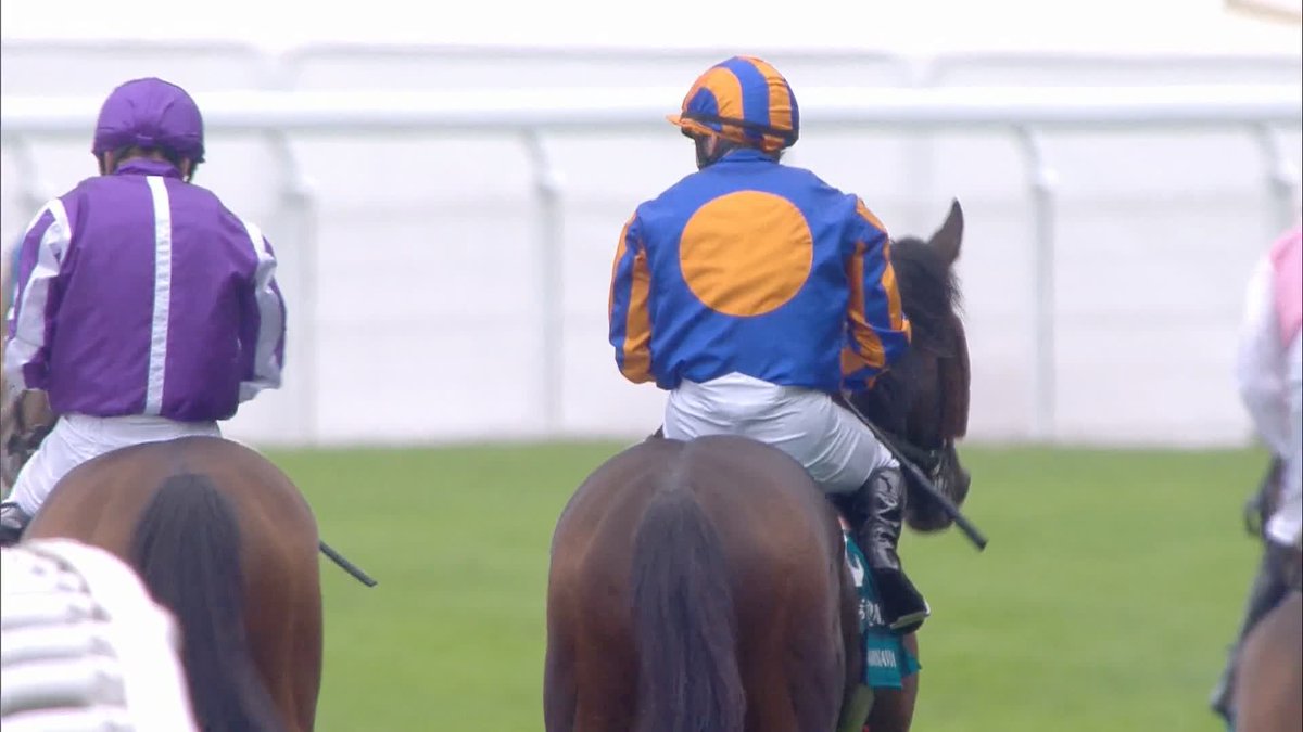 Who's ready for Scandinavia to win again tomorrow at Goodwood 💰💰 Trawlerman gets beat again! ❌️