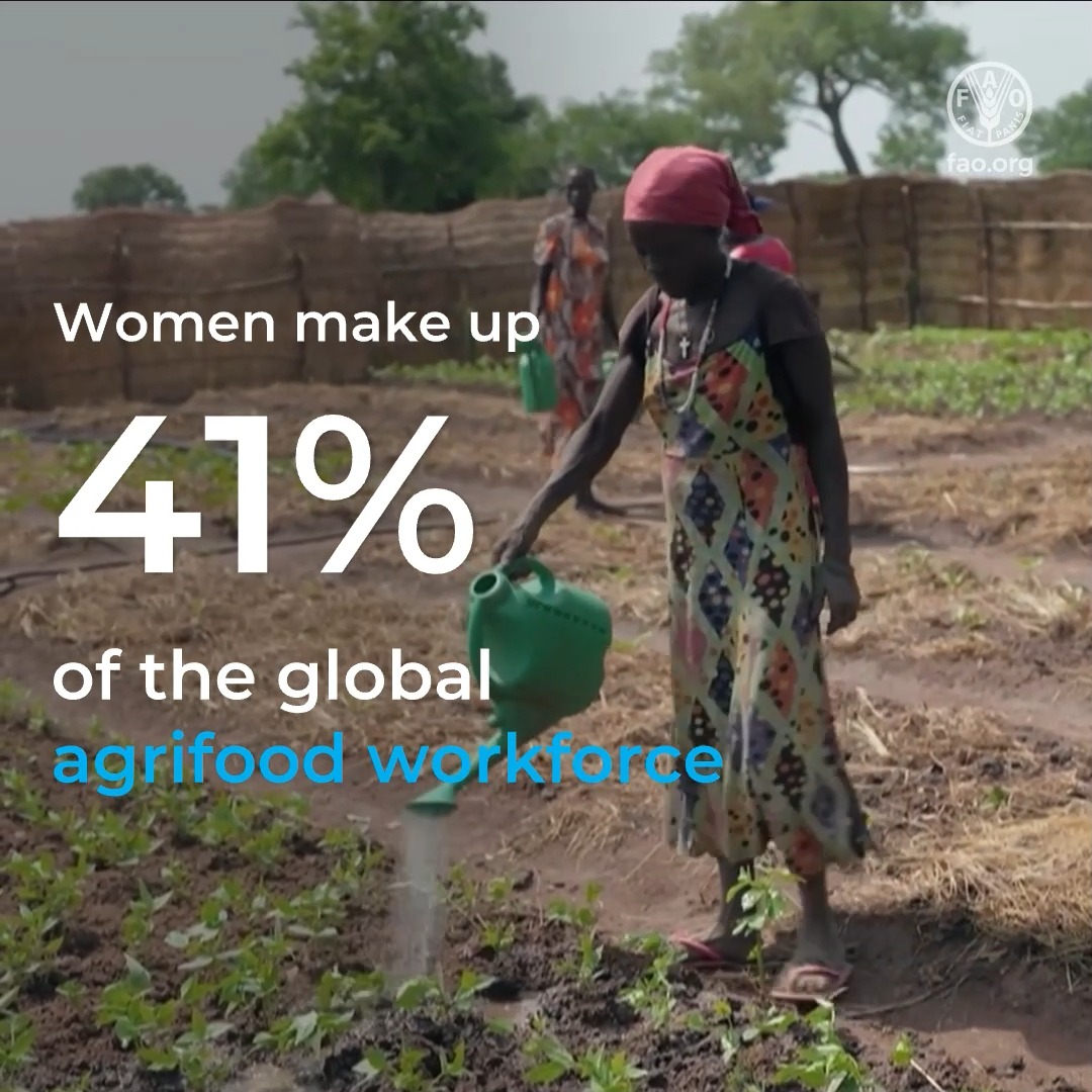 Women farmers make up 41% of the global agrifood workforce, yet they continue to face disproportionately precarious jobs, poor working conditions and limited rights. Here are 6⃣ ways research and academia can help drive change. 👇 #YearOfTheWomanFarmer #IYWF2026