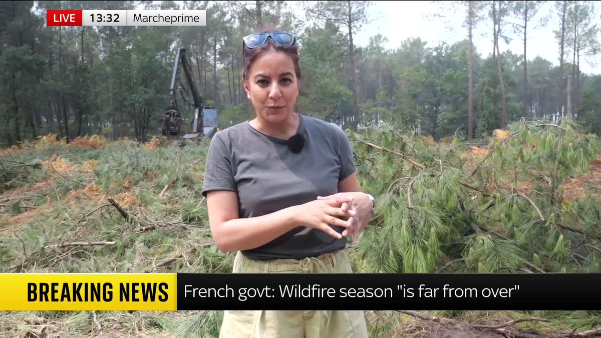 French authorities are felling and removing trees to create a "fire break" as wildfires continue to spread rapidly across the south-west of the country. Sadiya Chowdhury reports from Marcheprime ⬇️ 📺 Sky 501 and YouTube