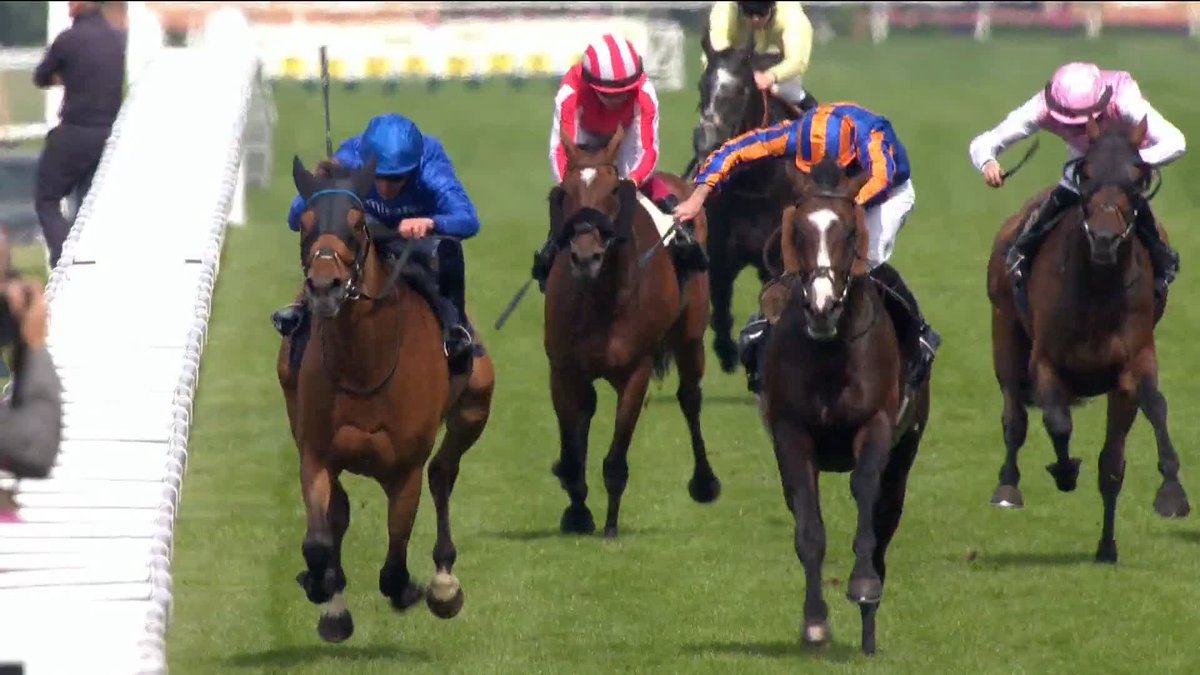 "When he runs next, he could go a stride quicker" 👀 Will Trawlerman get the better of Scandinavia now that he has a run under his belt? 🤔 🗣️ adele mulrennan