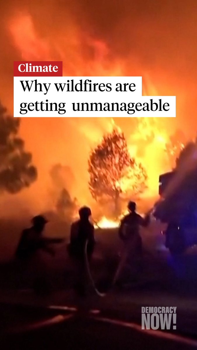 Increasingly destructive "megafires" like those raging across parts of North America and Europe are "basically vindicating, unfortunately, the warnings of climate scientists and firefighters," says John Vaillant, author of "Fire Weather: On the Front Lines of a Burning World."
