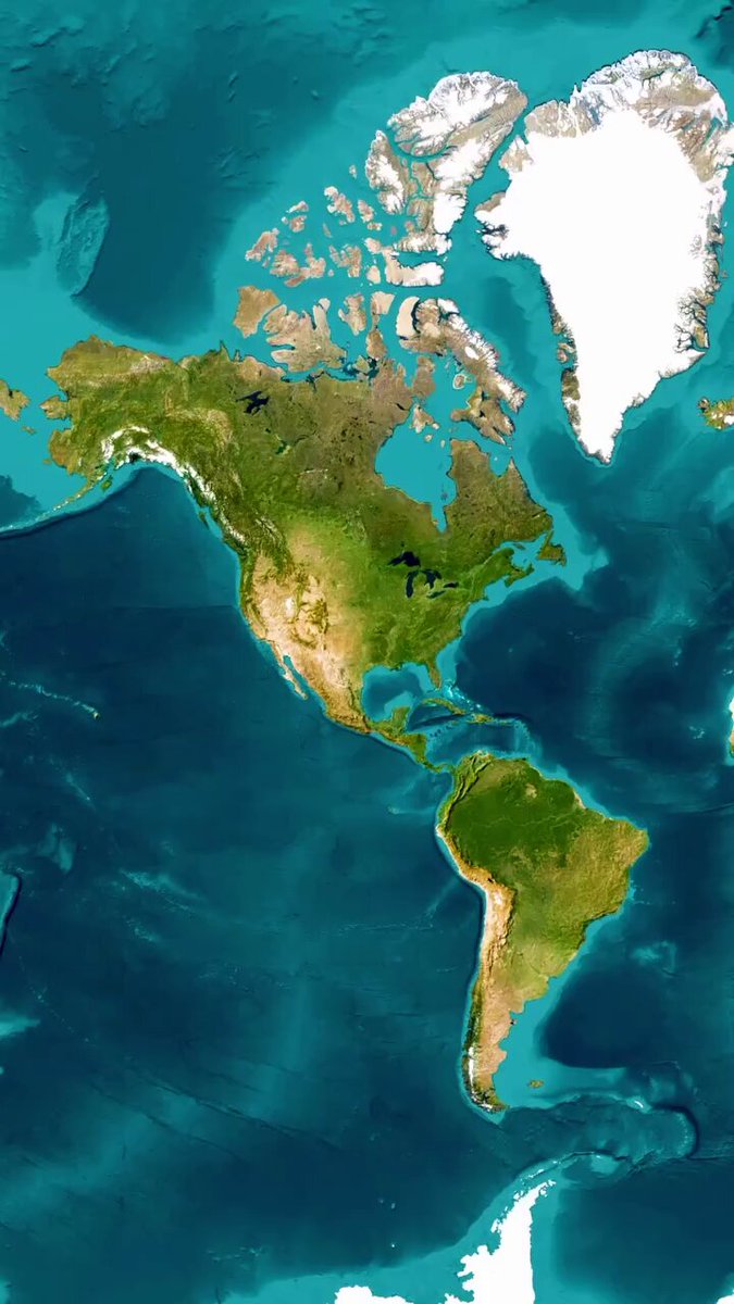 This country would immediately collapse into another 3rd world shithole without Whites holding it together.