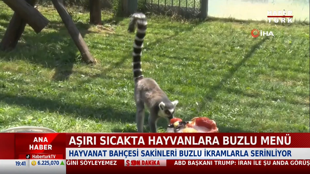 📌Aşırı sıcakta hayvanlara buzlu menü. Hayvanat Bahçesi sakinleri buzlu ikramlarla serinliyor.
